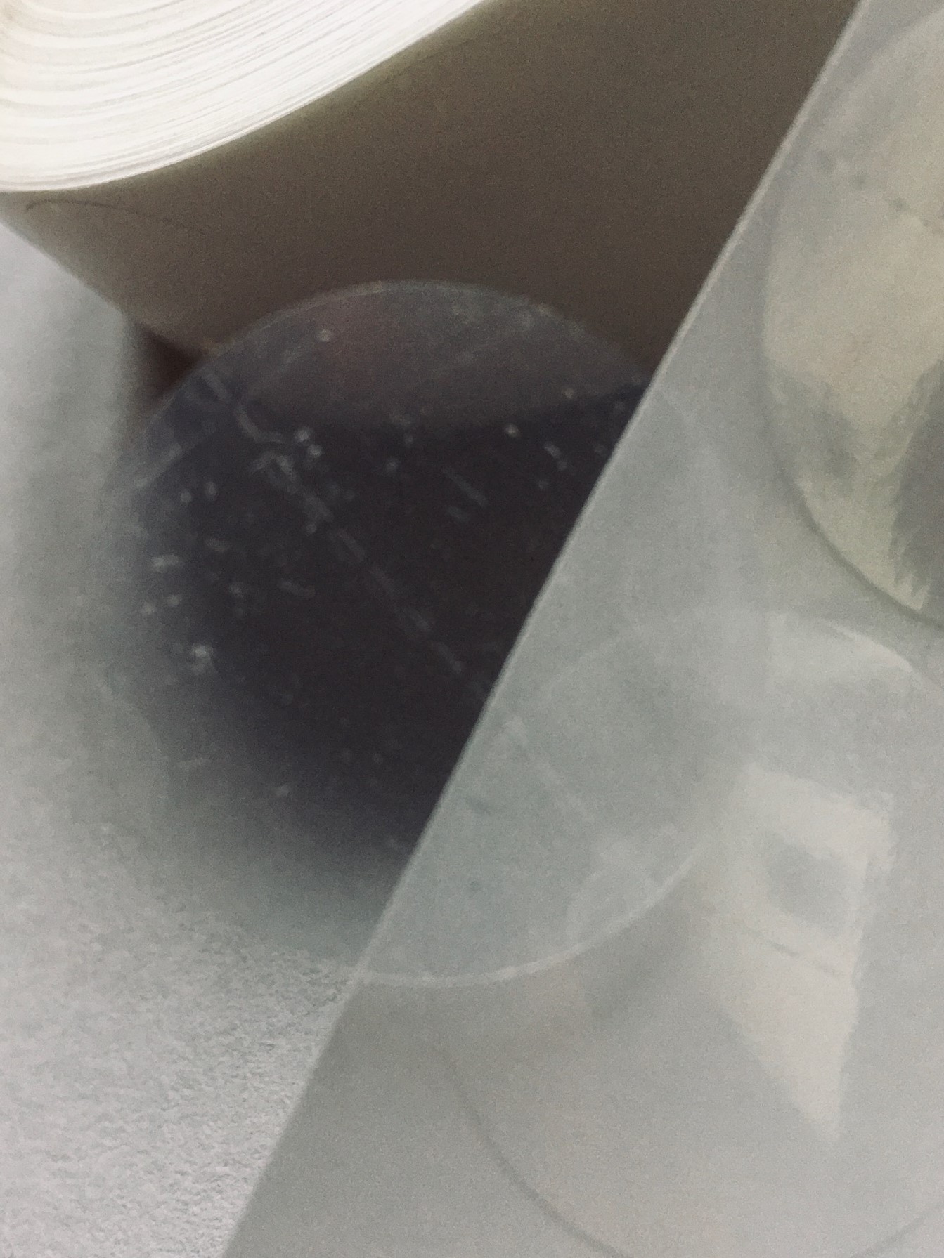 Haftpunkte einseitig klebend, 30 mm, mit Querperforaton